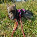 Ersteller:in Summer Profilbild