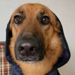 Ersteller:in Sara Profilbild