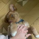 Ersteller:in Nora Profilbild