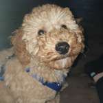 Ersteller:in Jorina Profilbild