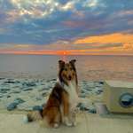 Ersteller:in Andrea Profilbild