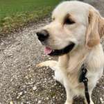 Ersteller:in Jennifer Profilbild