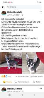 Suchmeldung-Nino-Bild