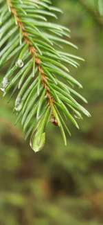 Die wunderschöne Welt mit Hund.-Beitrag-Bild