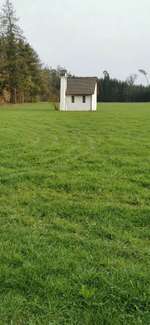 Die wunderschöne Welt mit Hund.-Beitrag-Bild