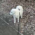 Ersteller:in Christoph Profilbild