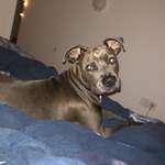 Ersteller:in Jean-Pascal Profilbild