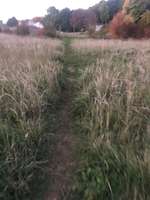 Hundeauslaufgebiet-Reichstraße-Bild