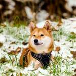 Ersteller:in E Profilbild