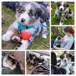 Ersteller:in Yvonne Profilbild