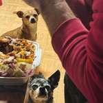 Ersteller:in Heike Profilbild