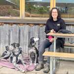 Ersteller:in Alex Profilbild