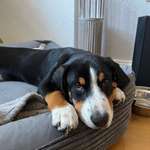 Ersteller:in Laura Profilbild