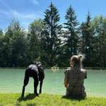 Ersteller:in Anica Profilbild