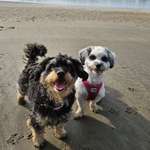 Ersteller:in Nina Profilbild