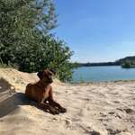 Ersteller:in Kim Profilbild