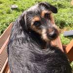 Ersteller:in Vivi Profilbild