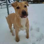 Ersteller:in Abby @ Nicole Profilbild