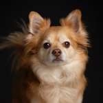 Ersteller:in Jenny Profilbild