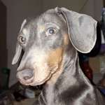 Ersteller:in Jessica Profilbild