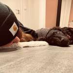 Ersteller:in Laura Profilbild