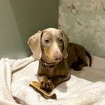 Ersteller:in Annika Profilbild