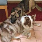 Ersteller:in Judith Profilbild