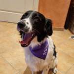 Ersteller:in Caroline Profilbild