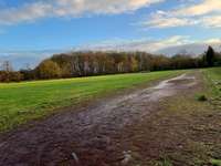 Hundeauslaufgebiet-Alter Sportplatz Jever-Bild