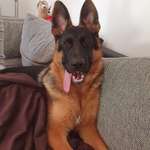 Ersteller:in Clemens Profilbild