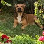 Ersteller:in Thor Profilbild