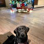 Ersteller:in Cansu Profilbild