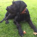 Ersteller:in Andrea Profilbild