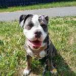 Ersteller:in Stefanie Profilbild