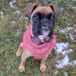 Ersteller:in Simone Profilbild