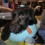 Ersteller:in Katinka Profilbild