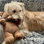 Ersteller:in Annika Profilbild