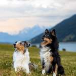 Ersteller:in Janina Profilbild