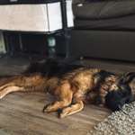 Ersteller:in Betty Profilbild