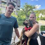 Ersteller:in Larissa, Alex und Fido🐶 Profilbild