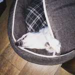 Die unbequemsten und lustigsten Schlafpositionen-Beitrag-Bild