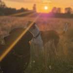 Ersteller:in Clarissa Profilbild