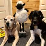 Ersteller:in Anke Profilbild