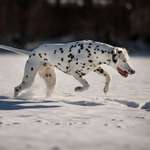 Ersteller:in Candy Profilbild