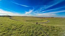 Hundeauslaufgebiet-Halde Norddeutschland-Bild