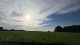 Hundeauslaufgebiet-Schaphuysener Stieg-Bild