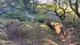 Hundeauslaufgebiet-Schaphuysener Stieg-Bild