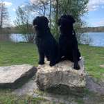 Ersteller:in Lucie Profilbild