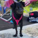 Ersteller:in Aileen Profilbild