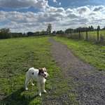 Hundeauslaufgebiet-Bockum Hövel-Bild